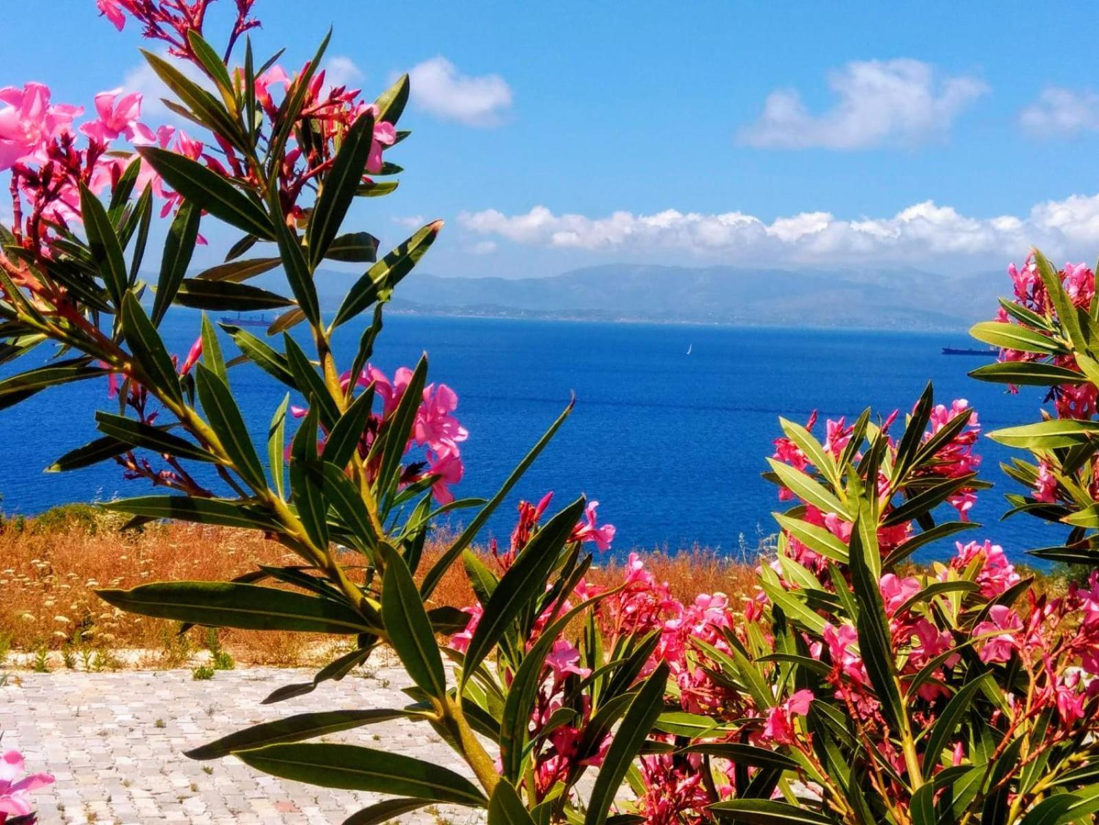 Mavi Panorama Villa Çeşme Kültér fotó